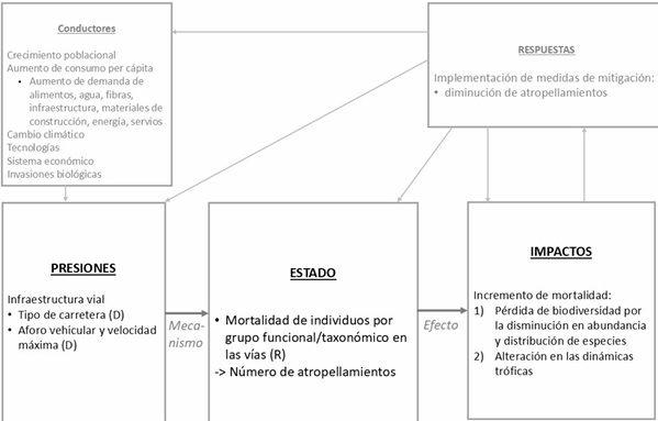 Diagrama DPSIR de los factores de presi�n relacionados con la infraestructura carretera que fueron mencionados en la literatura seleccionada. En gris est�n los aspectos no focales de esta revisi�n.