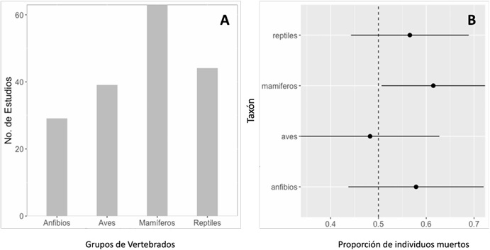A) N�mero de registros de atropellamiento para cada grupo taxon�mico encontrados en los estudios revisados para el neotr�pico. B) Tama�o de efecto de las carreteras sobre los grupos taxon�micos de vertebrados.
