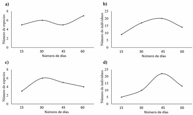 Fluctuaci�n de insectos en ramas trampa de acuerdo con los d�as de exposici�n a) riqueza y b) abundancia en PSL c) riqueza y d) abundancia en PSM.