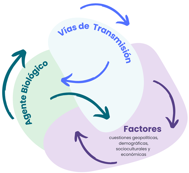 Representaci�n del modelo de arribo consensuado con el grupo de estudiantes al finalizar la propuesta