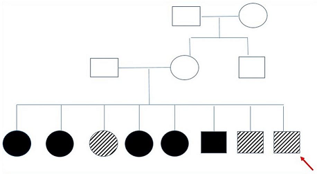 Fatal Familial Hemophagocytic Lymphohistiocytosis With Perforin Gene Prf1 Mutation And Ebv Associated T Cell Lymphoproliferative Disorder Of The Thyroid