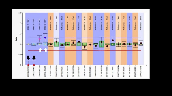 The graphical representation of the sample run on MPLA platform shows zero copies of exons 7 and 8 of SMN1 gene (black arrows) and three copies of (1.5 x 2 copies) of exons 7 and 8 of SMN2 gene (white arrows).