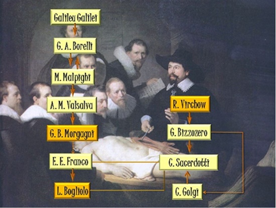 Diagram of the scientific lineage of Luigi Bogliolo. In the background, the famous painting by Rembrandt van Rijn, &ldquo;The anatomy lesson of Dr. Tulp&rdquo;, dated 1632.
