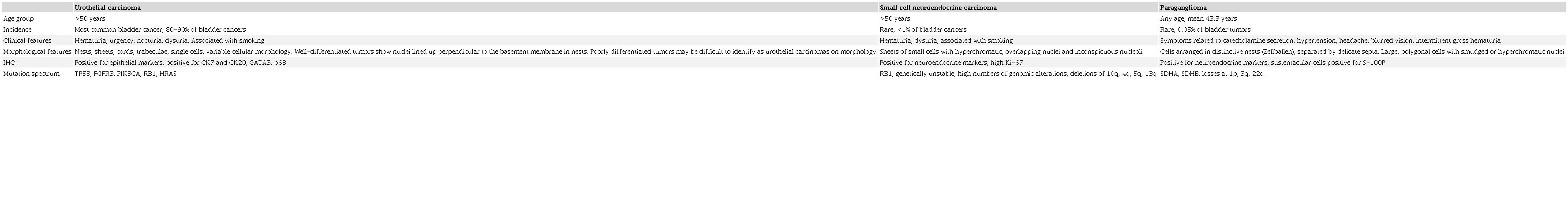 Relevant features and differences between urothelial carcinomas, small cell neuroendocrine carcinomas and paragangliomas