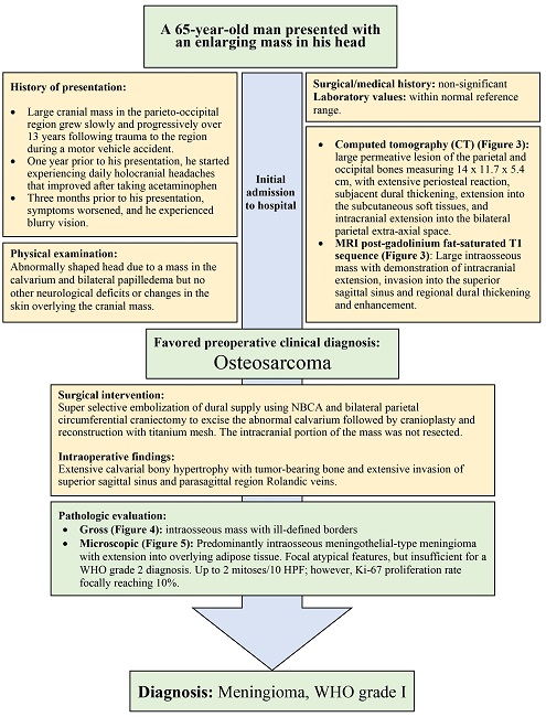 Summary of case timeline.