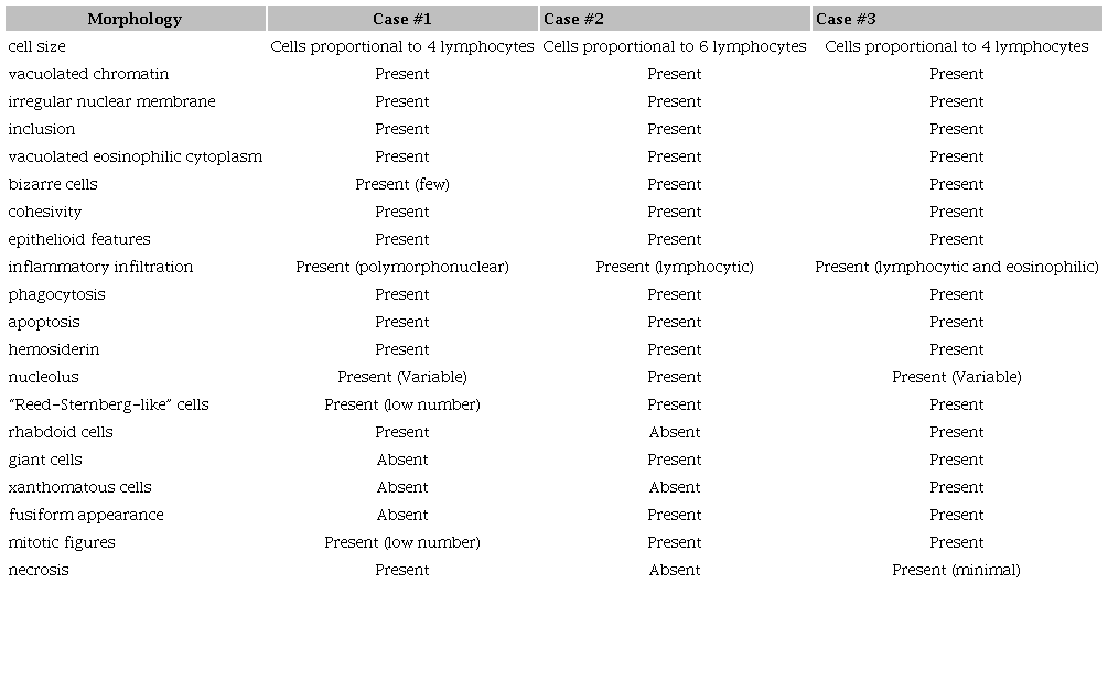 Morphological comparison of the three cases