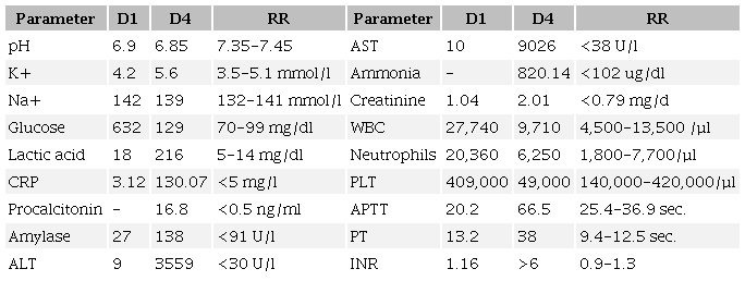 Laboratory tests performed in the Intensive Care Unit on day 1 and day 4 of hospitalization.