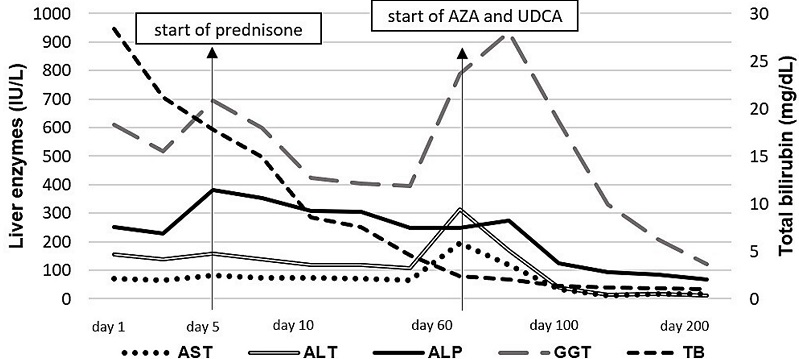 Laboratory tests over time. ALP: alkaline phosphatase; ALT: alanine aminotransferase; AST: aspartate aminotransferase; AZA: azathioprine; GGT: gamma-glutamyl transferase; TB: total bilirubin; UDCA: ursodeoxycholic acid.