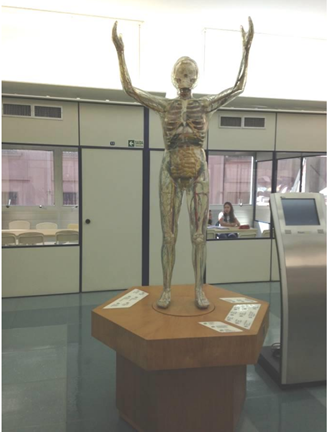 Mulher transparente de Dresden.