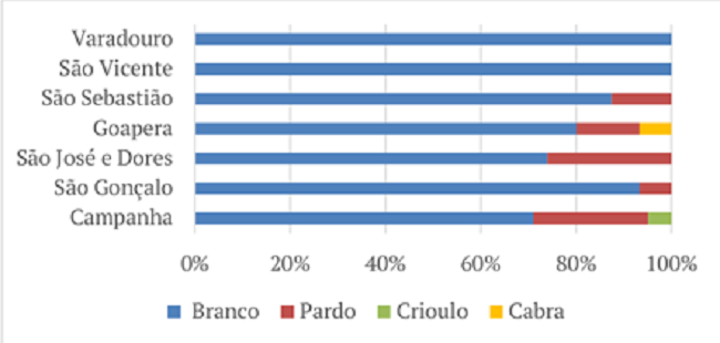 Perfil dos alunos da instrução elementar no Sul de Minas, por raça (%) - 1831