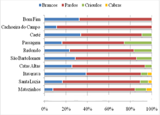 Perfil dos alunos da instrução elementar no centro de Minas, por raça (%) - 1831