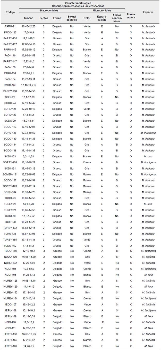 Oferta gastronómica y de potencial turístico del departamento del Meta