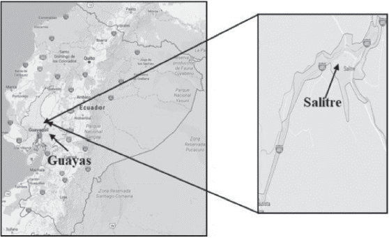 Ubicación geográfica de Salitre (Ecuador)