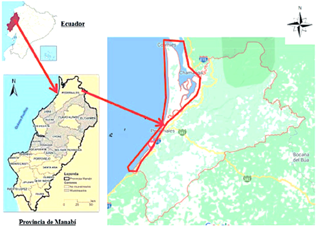 Mapa de localización de la actividad camaronera en Pedernales (Ecuador)