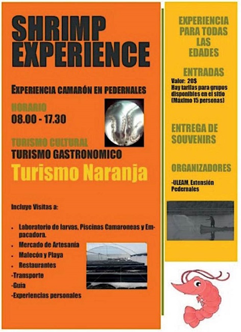 Folleto publicitario de la shrimp experience en Pedernales, Ecuador.