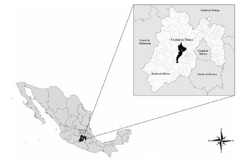 Localización de la ciudad de Toluca