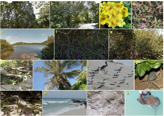 Biodiversity of the asapsc
