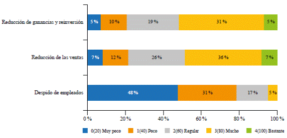 Percepci�n de los empresarios por �tem del iaepe