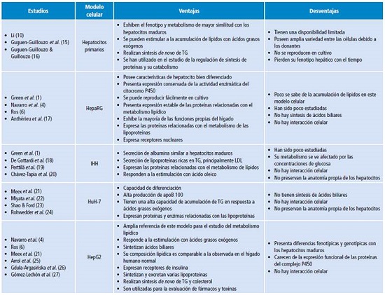 Resumen de los modelos celulares hepáticos utilizados en el estudio del metabolismo lipídico.