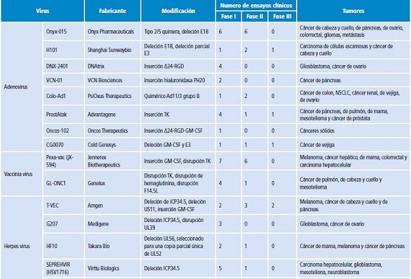 Virus oncol&iacute;ticos estudiados en la actualidad.