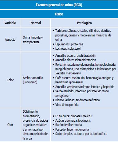 Descripci&oacute;n del examen general de orina y urocultivo para diagnosticar infecci&oacute;n de v&iacute;as urinarias y descartar diferentes entidades diagn&oacute;sticas.