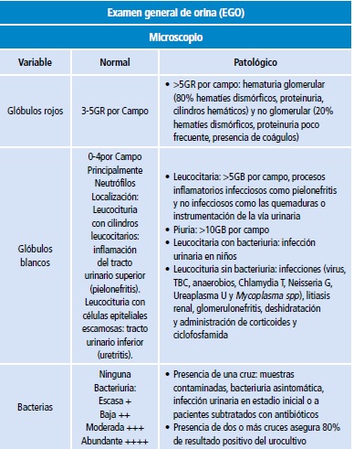 Descripci&oacute;n del examen general de orina y urocultivo para diagnosticar infecci&oacute;n de v&iacute;as urinarias y descartar diferentes entidades diagn&oacute;sticas.