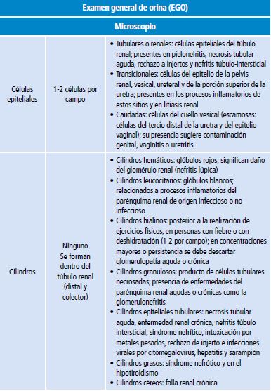 Descripci&oacute;n del examen general de orina y urocultivo para diagnosticar infecci&oacute;n de v&iacute;as urinarias y descartar diferentes entidades diagn&oacute;sticas.