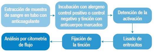 Esquema general de la prueba de activaci&oacute;n de bas&oacute;filos en sangre total.