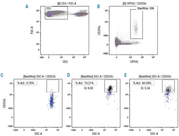 Prueba de activaci&oacute;n de bas&oacute;filos de un paciente con rinitis al&eacute;rgica sensibilizado al &aacute;caro Blomia tropicalis usando el estuche comercial Allergenicity kit&trade;.