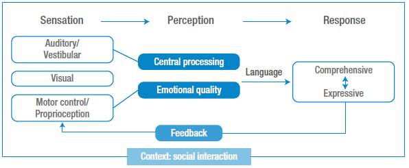 Sensory integration, a substrate of language development.