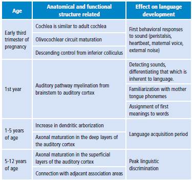 Auditory system maturation and its effects on language development.