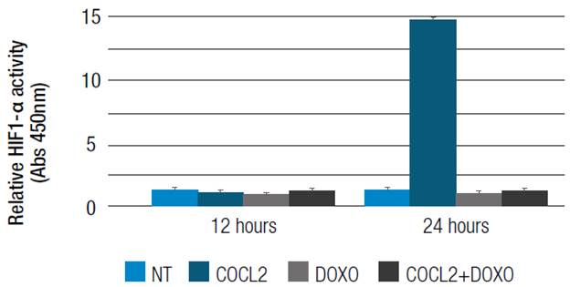 HIF1-α activity. HT29 cells treated with 100μM CoCl2 or 5μM doxorubicin (CoCl2 + Doxo). 