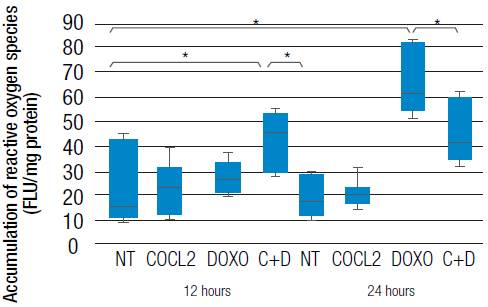 Relative levels of reactive oxygen species.
