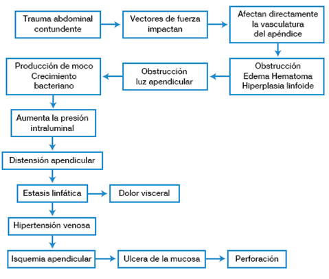 Mecanismo fisiopatológico de la apendicitis postraumática.
