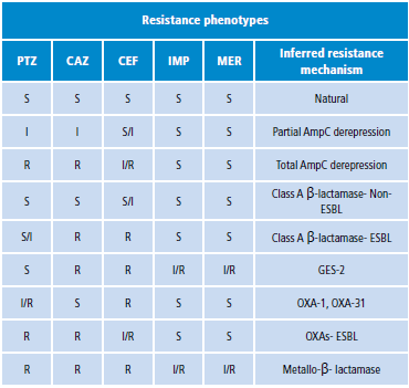 Enzymatic resistance mechanisms.