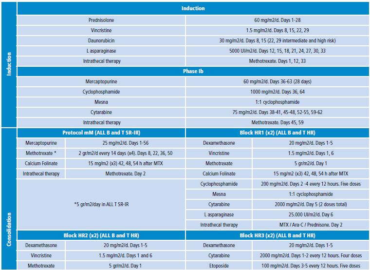 Chemotherapy treatment protocol BFM ALL IC 2009