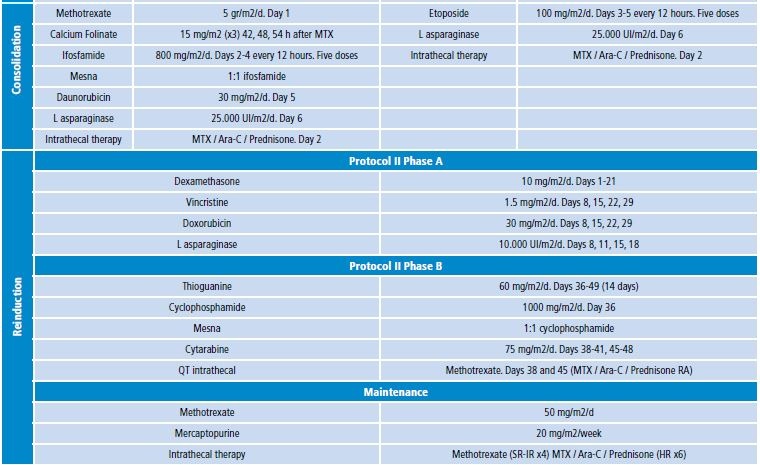 Chemotherapy treatment protocol BFM ALL IC 2009
