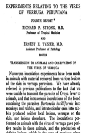 Scientific debate between the Harvard University and the Peruvian Medical School. Different causes of Oroya fever and Peruvian wart. Source: 28.