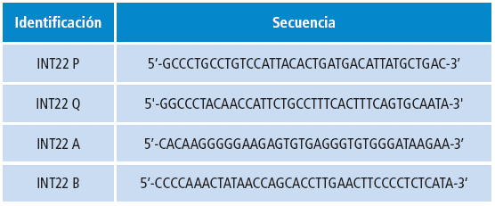 Detalle de las secuencias de los primers usados en la detecci&oacute;n de la inversi&oacute;n 22 del gen del FVIII de la coagulaci&oacute;n.