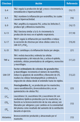 Principales mediadores inflamatorios implicados en el asma.