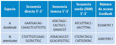 Cebadores utilizados en la qPCR para la identificaci&oacute;n de la especie de Uncinaria.