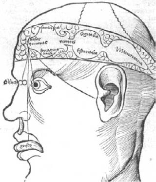 Gregord Reisch's scheme (1503), which shows the typical medieval conception of the human brain and its tricameral composition.