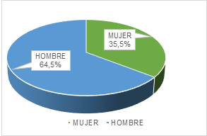 Cul es el gnero del director general  gerente