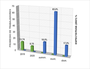 Cuntos han sido los empleados en promedio durante los aos 2019 y 2020 Cree que la tendencia para 2021 es aumentar mantener o disminuir el nmero de empleados