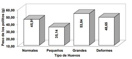 Peso (g) de los pollitos provenientes de diferentes tipos de huevos de aves pesadas en el proceso de incubacin