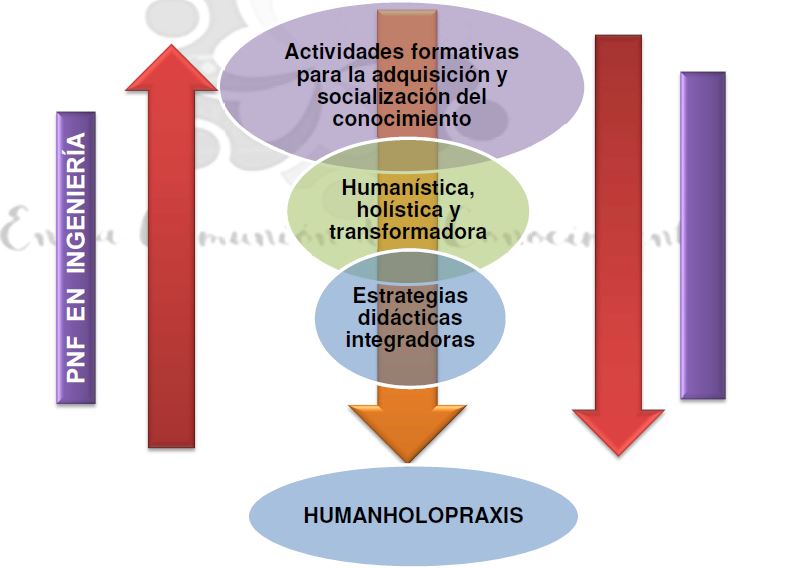 Matriz consecuencial: La prctica pedaggica del docente de matemtica en los programas nacionales de formacin en ingeniera de la UPTAG