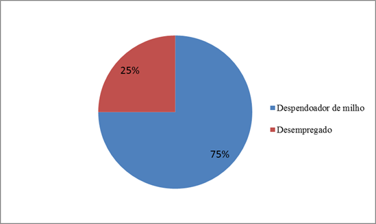 Município de Capinópolis
(MG): ocupação atual dos ex-cortadores da agroindústria canavieira Vale do
Paranaíba (2016).
