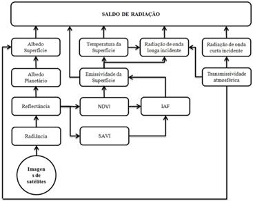Fluxograma do cálculo do saldo de radiação