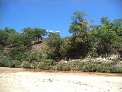 Desmatamento nas margens do rio.