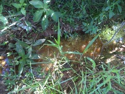 Esgoto lan&ccedil;ado no Gorutuba.